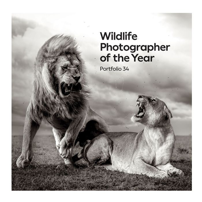 Wildlife Photographer of the Year Portfolio 34 \u2013 Bristol Museums