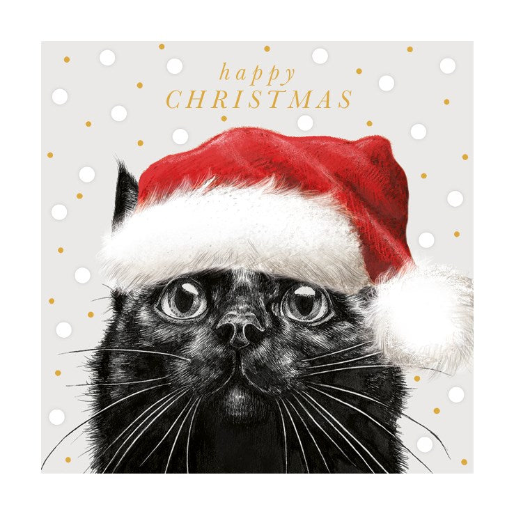 Black Cat in Hat Christmas Cards - Set of 6