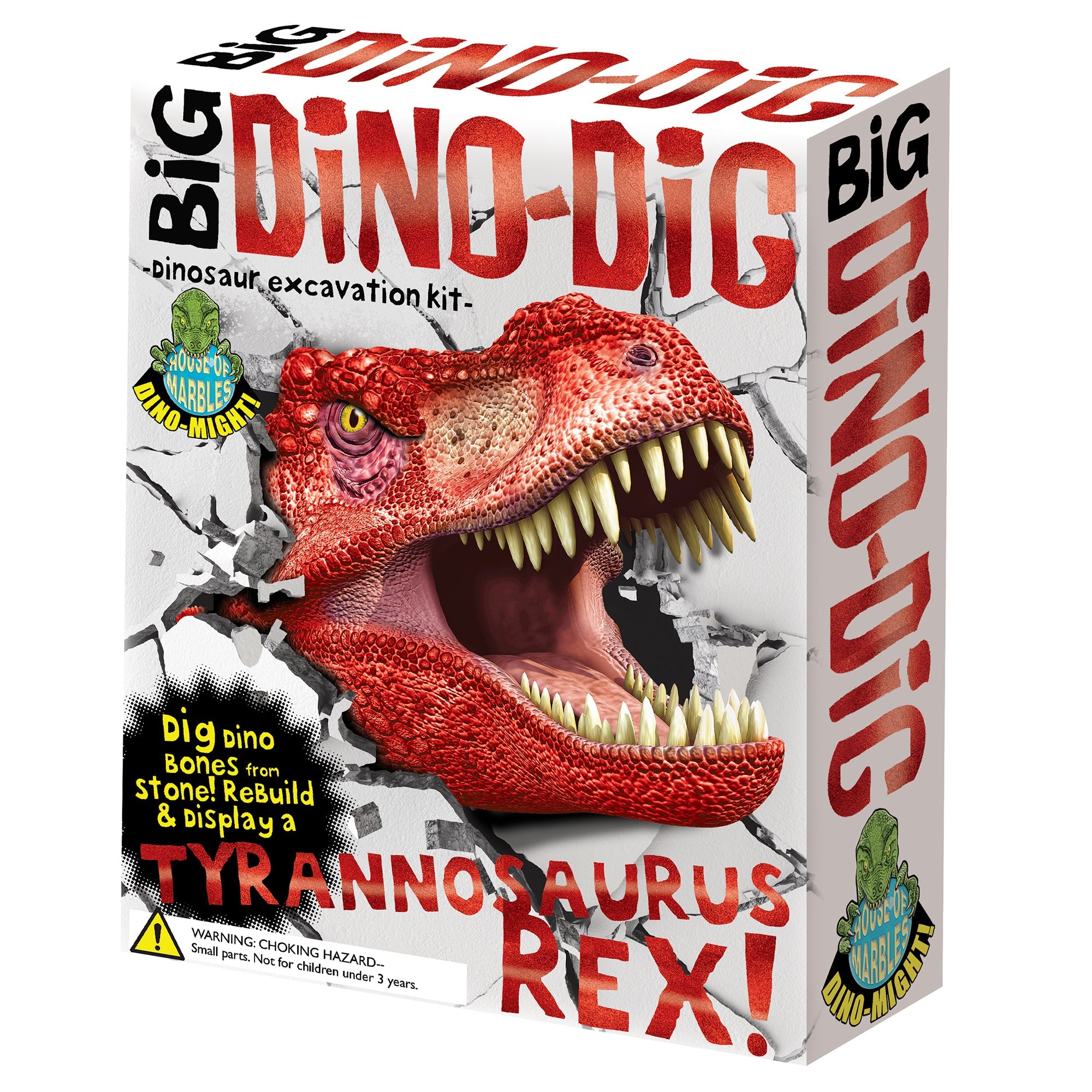 Dig Discovery Tyrannosaurus Rex