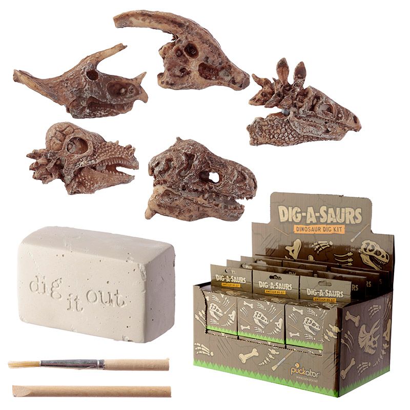 Dig-A-Saurs Dig it Out Kit