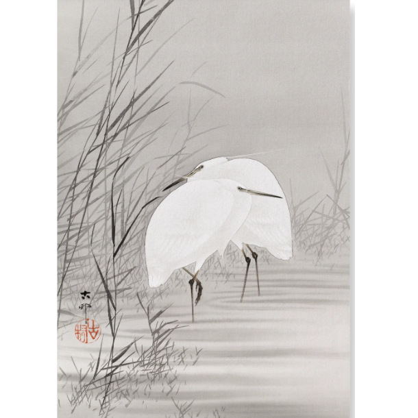 Egrets in the Marsh Print