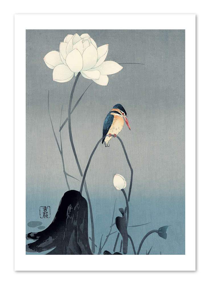 Kingfisher with Lotus Print