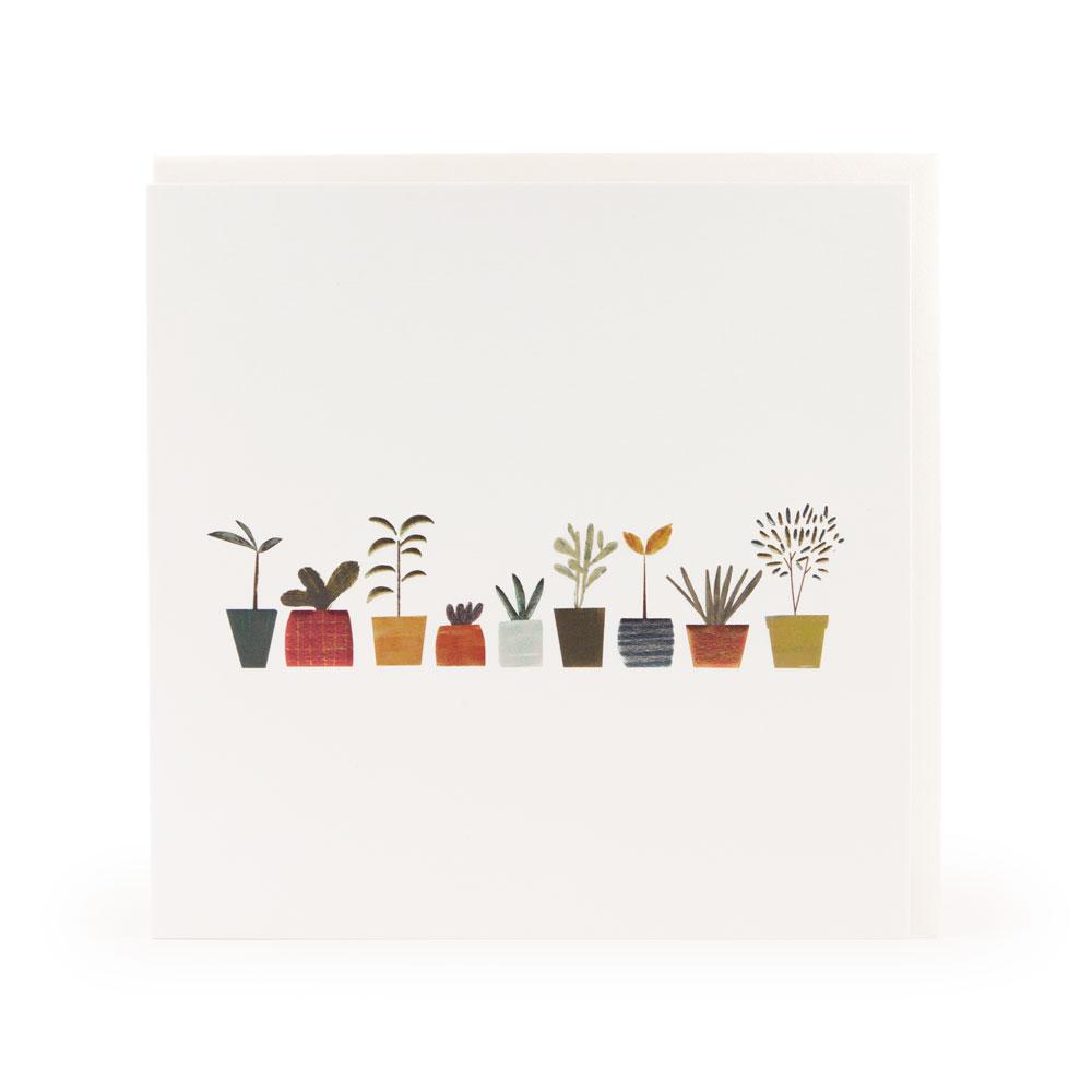 Little Plants Greeting Card
