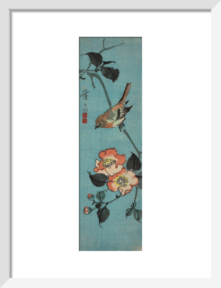 Sparrow and Camellia