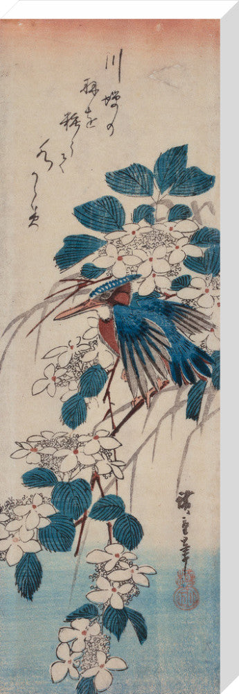 Kingfisher and Viburnum
